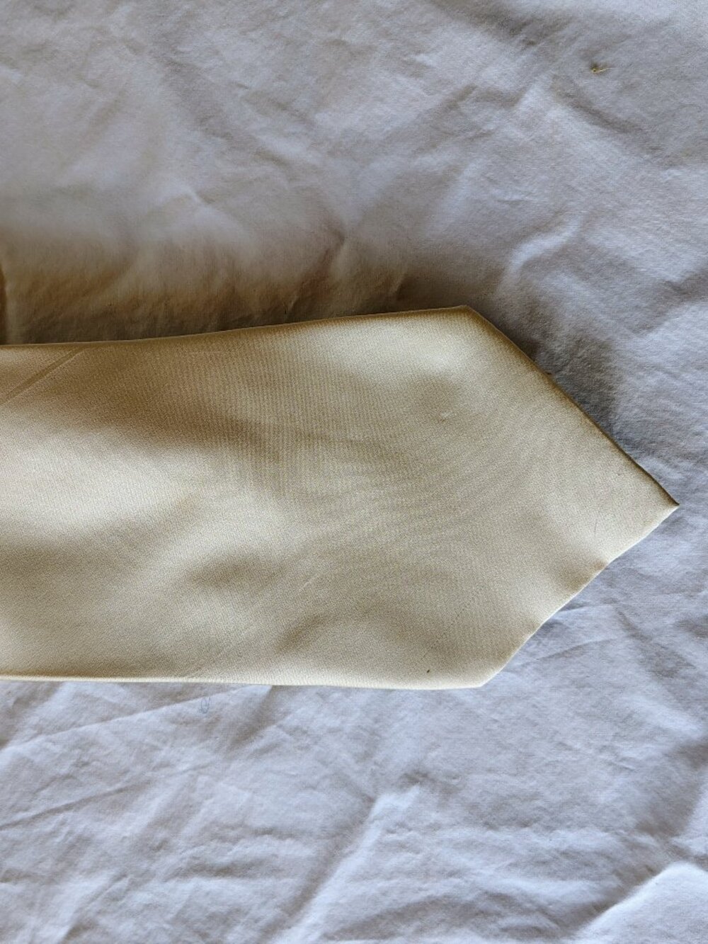 Rapheala Men's Champagne 100% Silk Handmade Necktie Formal Classic Wedding Work